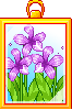 flowerpic