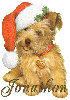 Santa Puppy - Jonathon