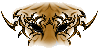 tiger eyes
