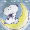 wish apon a star