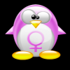 girl penguin