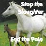 Stop The Slaughter End The Pain