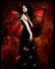 Dark Butterfly Fairy