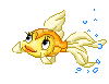princess fish