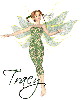 Tracy's Green Fairy
