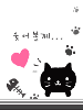 cute kawaii cat in love