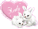 keely bunnies